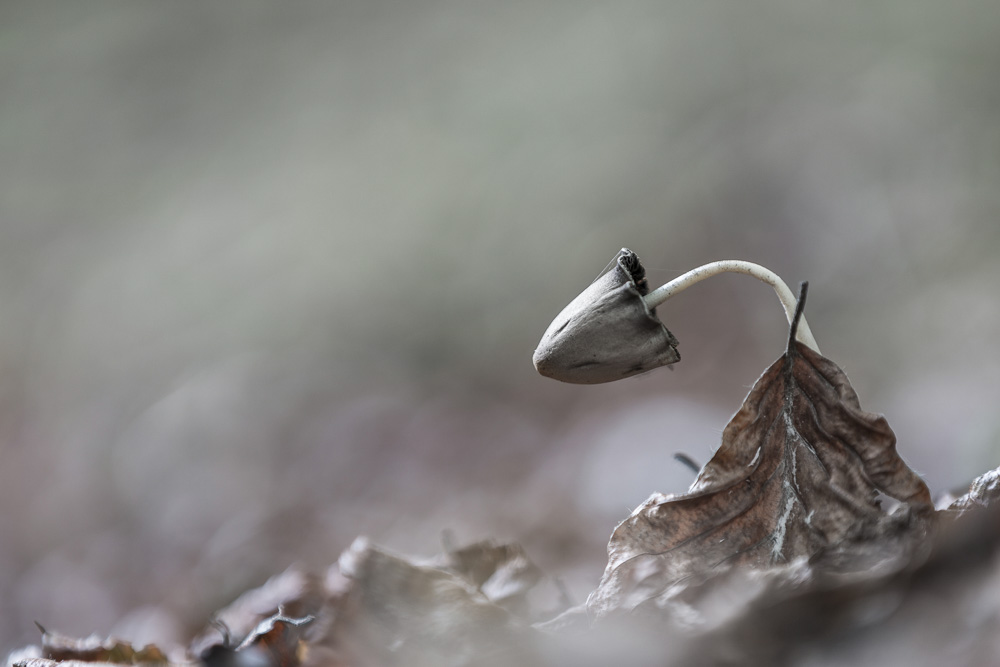 Platz 9 Conny Kleiner